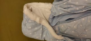 2 buzos capucha de bebé