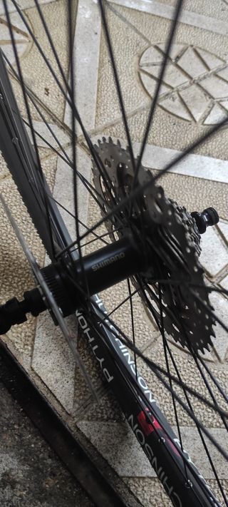 Llantas 29 de montaña