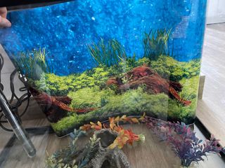 Acuario / Pecera de 50L