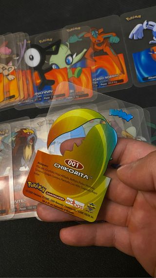 Pokémon Lamincards New Colection 2006