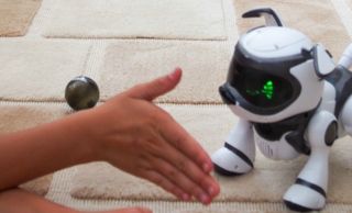 Perro Robot