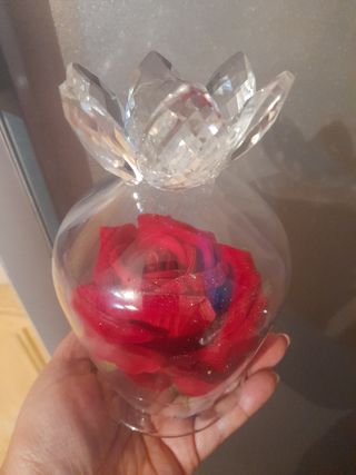Rosa in vaso chiuso 