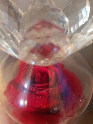 Rosa in vaso chiuso 