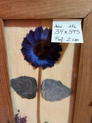 Cuadros con marco de madera de calidad y cristal