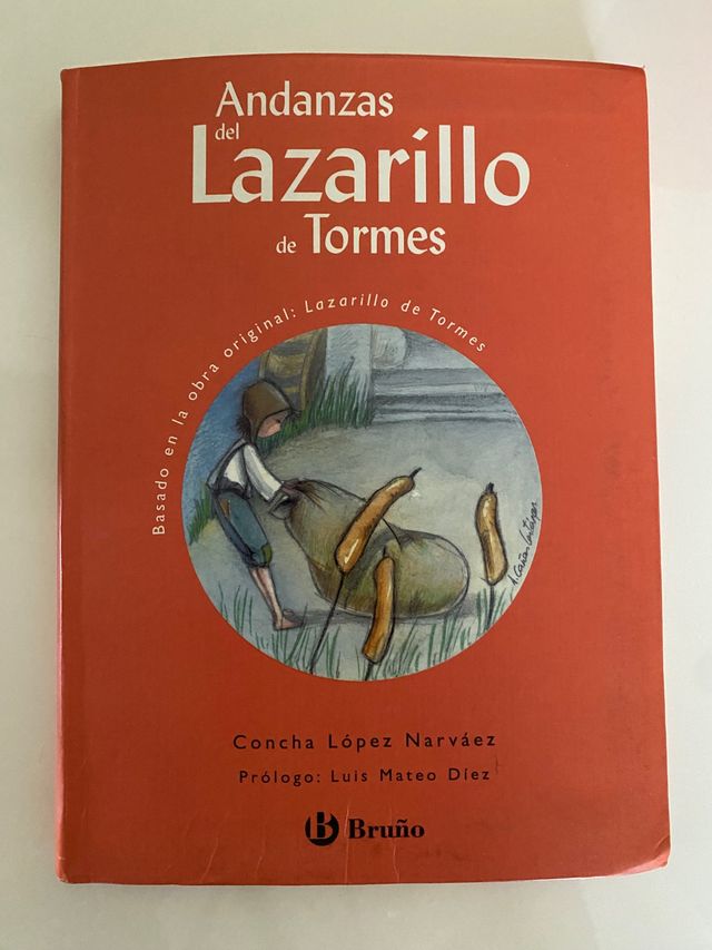 Peregrinazioni di Lazarillo de Tormes