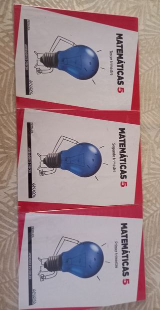 Libros Matemáticas 5° primaria