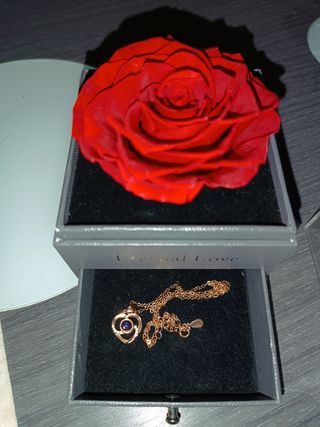 Rosa Eterna y cadena de plata