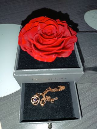 Rosa Eterna y cadena de plata