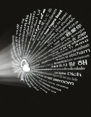 Rosa Eterna y cadena de plata