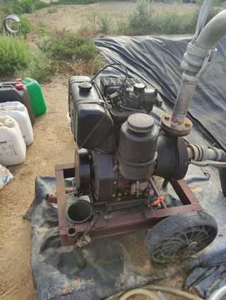 Motor con bomba de riego de gasoil.