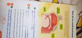 Libro Natural Science 4°EPO