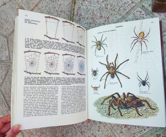 Enciclopedia Bruguera Ciencias Naturales