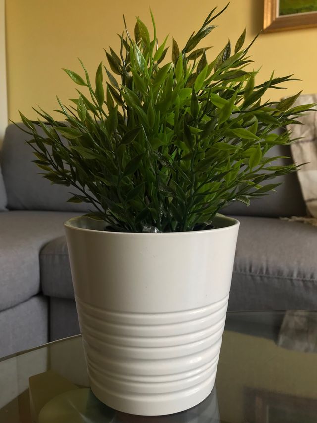 Bonita maceta y planta artificial