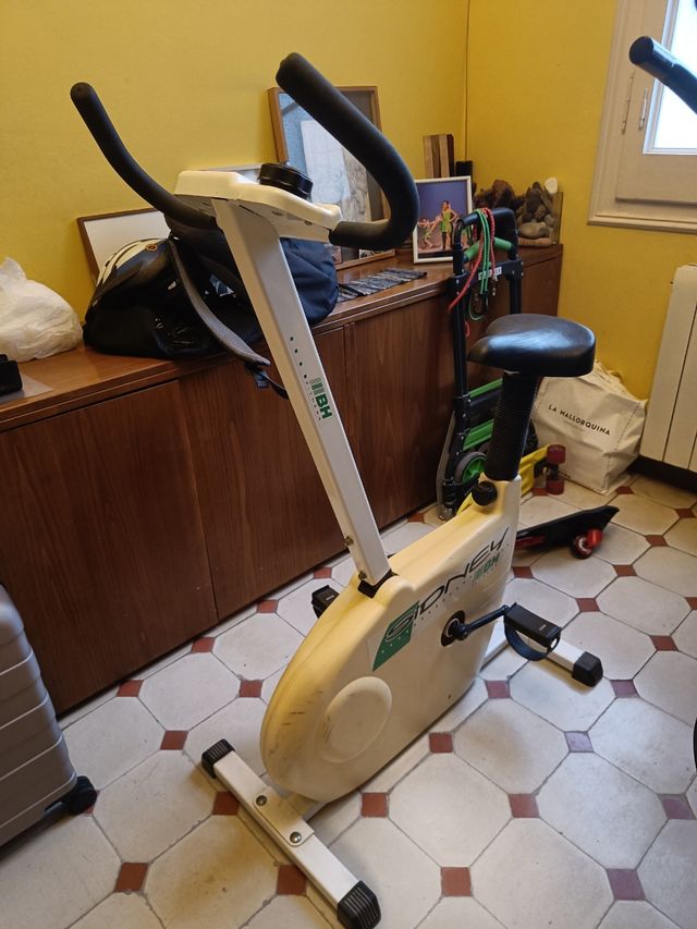 Bicicleta estátia Sidney