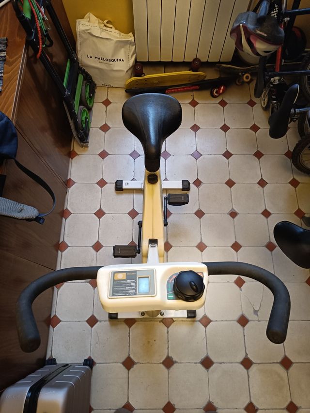 Bicicleta estátia Sidney