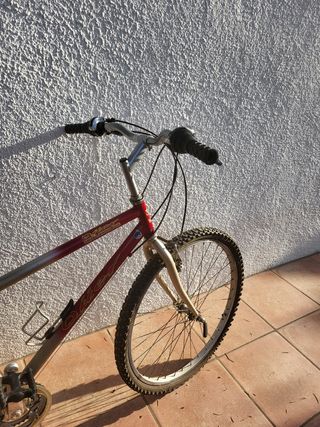 Bicicleta de montaña mediana