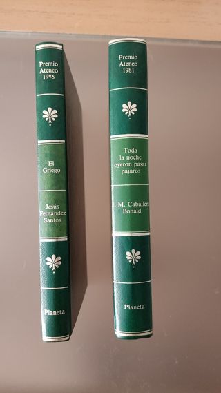 "EL GRIEGO". "TODA LA NOCHE OYERON PASAR PÁJAROS"