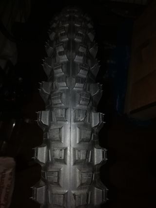 Michelin wild enduro