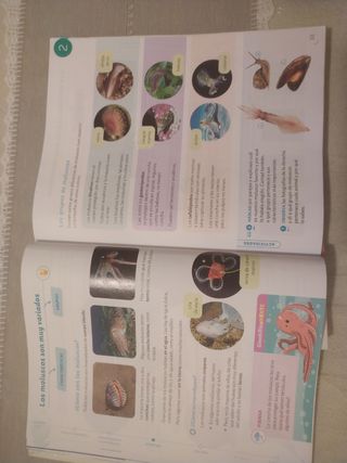 Conocimiento del Medio 3º de primaria