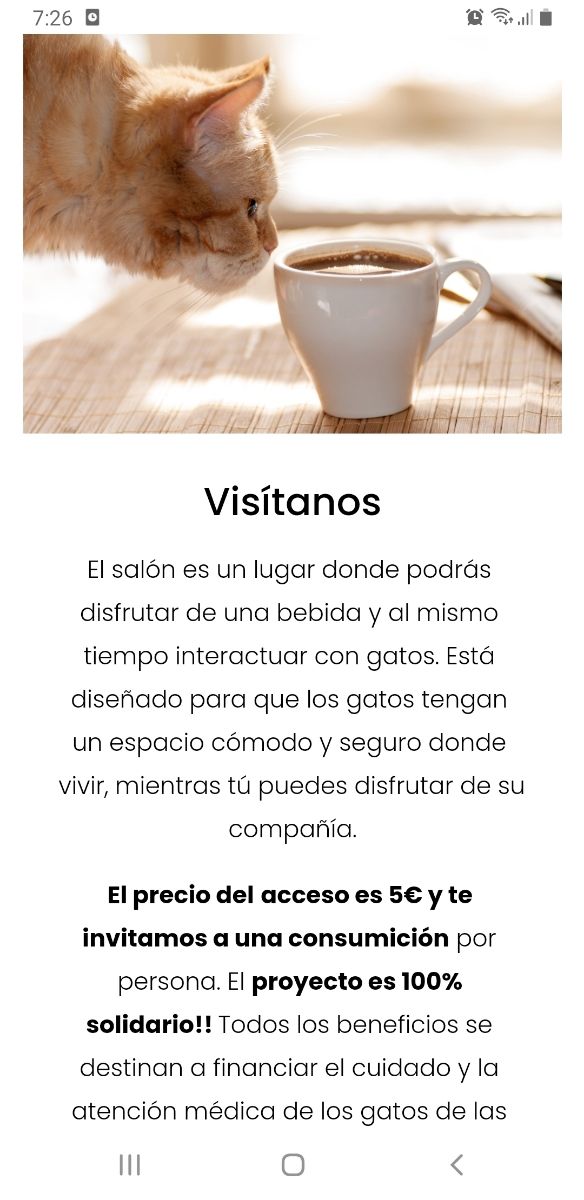 solo Informativo. Nuevo salón gatos Sevilla