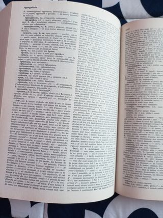 Dizionario Italiano Francese Garzanti Vintage