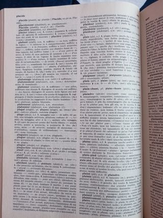 Dizionario Italiano Francese Garzanti Vintage