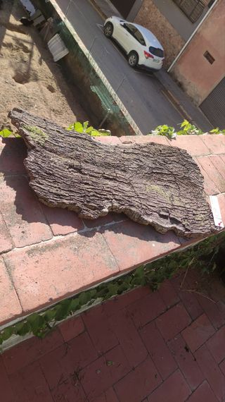 Plataforma gigante terrarios