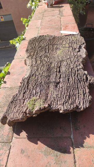 Plataforma gigante terrarios