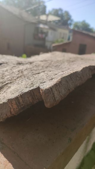 Plataforma gigante terrarios