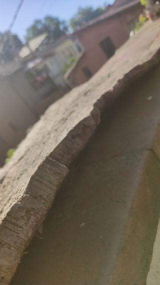 Plataforma gigante terrarios