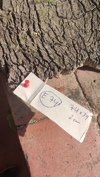 Plataforma gigante terrarios