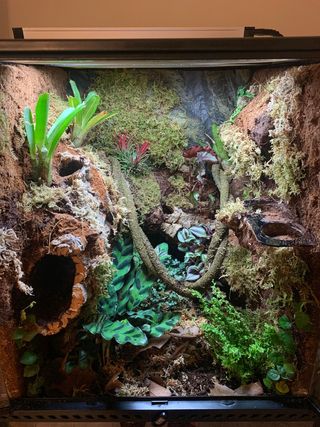 Plataforma gigante terrarios