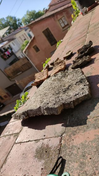 Pack corcho pesebre Belén terrario