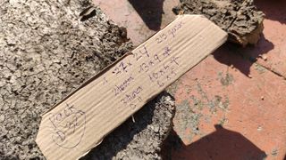 Pack corcho pesebre Belén terrario