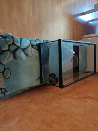 Acuario con calentador