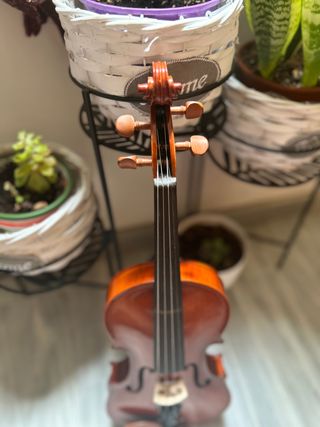 Violín 3/4 SieLam Divertimento