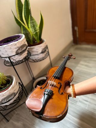 Violín Estentor Student 1/2