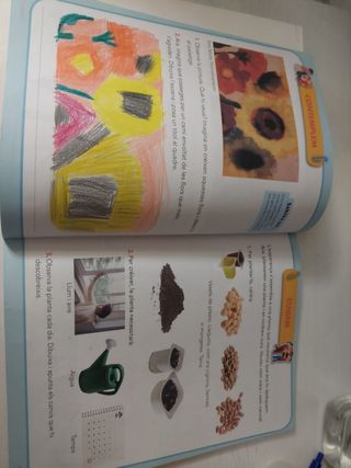 Religió Catòlica. 2 Primaria. Cruïlla.