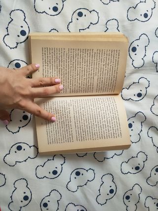 Lawrence Thornton - Imagining argentina