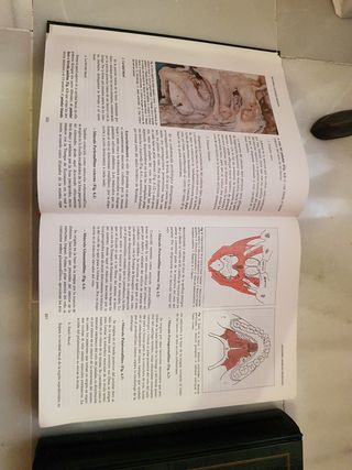 Tratado de Odontología tomo I