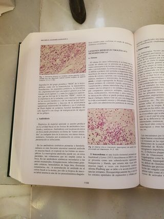 Tratado de Odontología tomo I