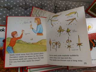 Lote 8 libros nfantiles naturaleza en ingles