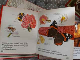 Lote 8 libros nfantiles naturaleza en ingles