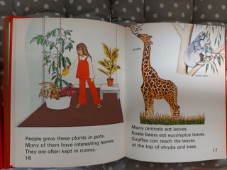 Lote 8 libros nfantiles naturaleza en ingles