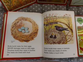 Lote 8 libros nfantiles naturaleza en ingles
