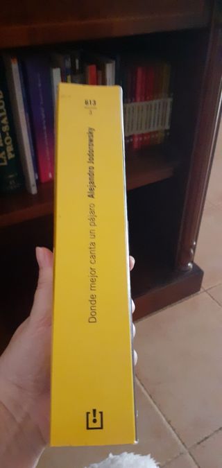 DONDE MEJOR CANTA UN PÁJARO de Jodorowsky