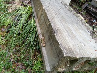 3 Pasarelas de 3 metros 80 cm de largo