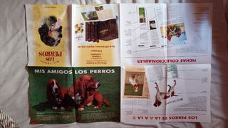 Poster Perros Veterinaria