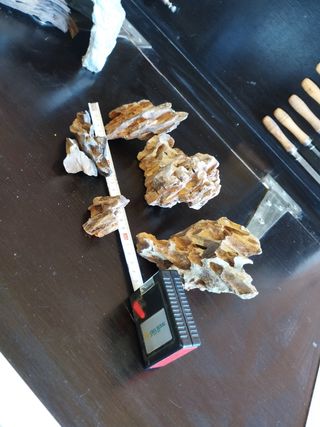 Material decoración para acuario