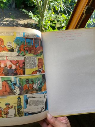 Cómic, novelas ilustradas